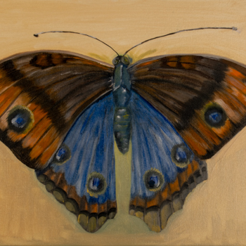 A painting of a butterfly