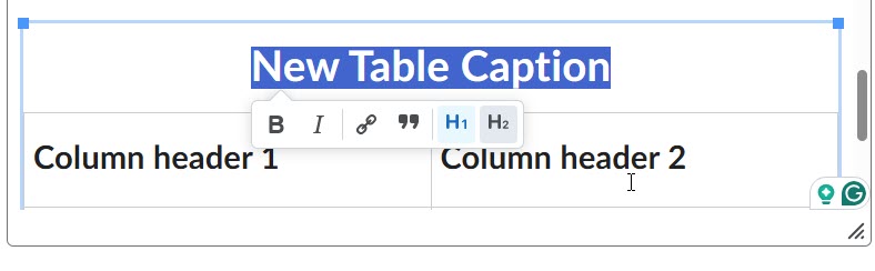 Table Caption Screenshot