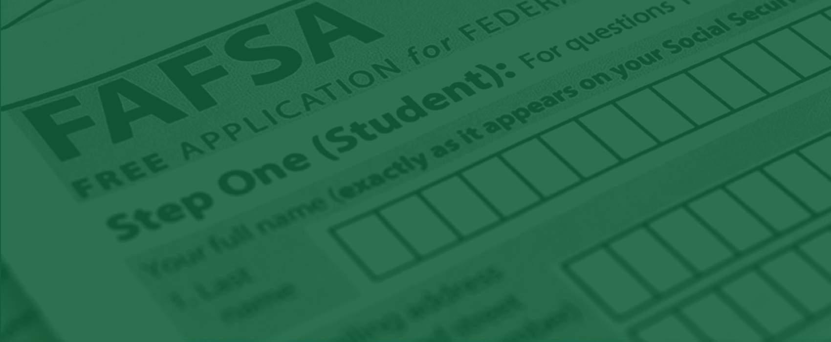 Green tinted image of top of FAFSA form