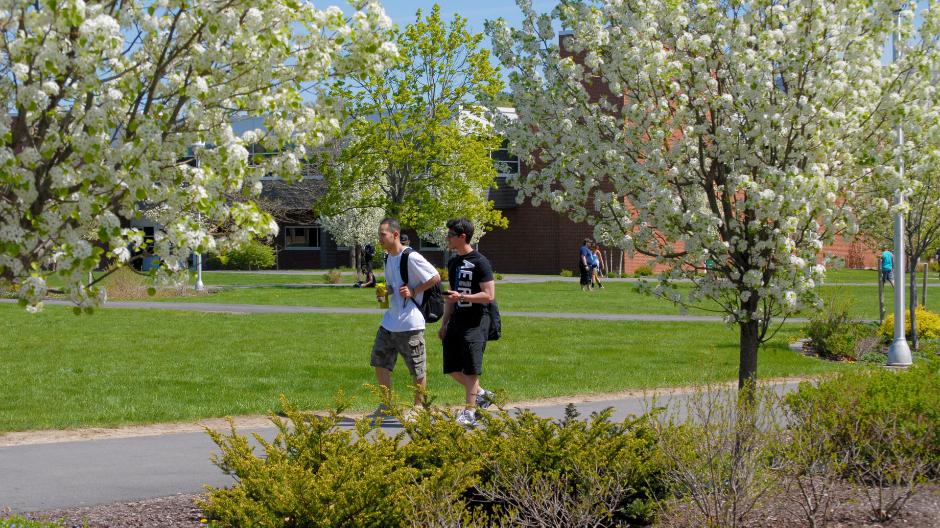 The Full College Experience - Vibrant Campus and Community