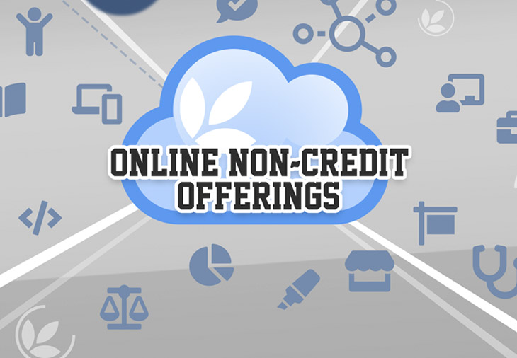 Check out our online non-credit offerings