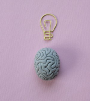 small eraser in the shape of a brain